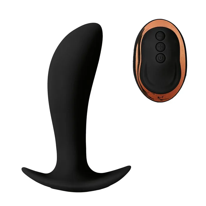 Lang Loys Female Sex Toys Lang loys Prostaat Vibrator Met remote Control Zwart