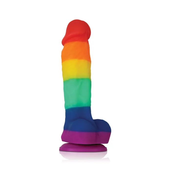 Female Sex Toys Colours Pride Edition 5 Dildo Rainbow nsnovelties