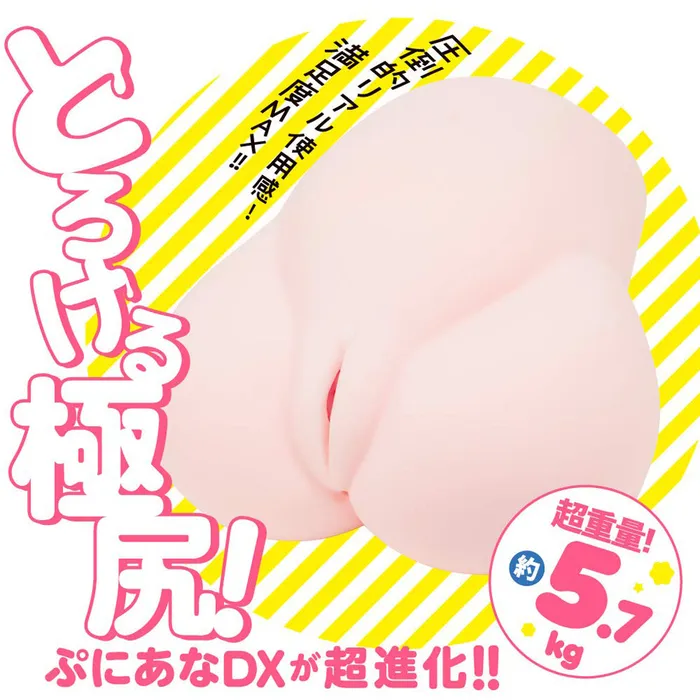 PUNI ANA DX KIWAMI Japan Version | LUNA PARK LOVE Vibrators