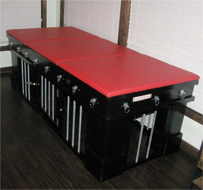 BDSMGear Couples Dungeon Table Bondage Table With Bars