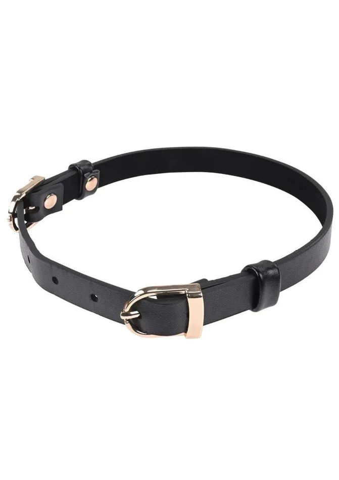 Sex and Mischief Couples Sex and Mischief Double Buckle Day Collar