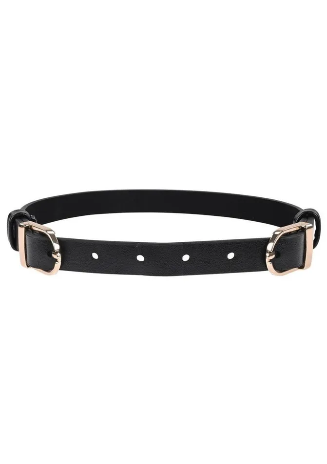 Sex and Mischief Couples Sex and Mischief Double Buckle Day Collar