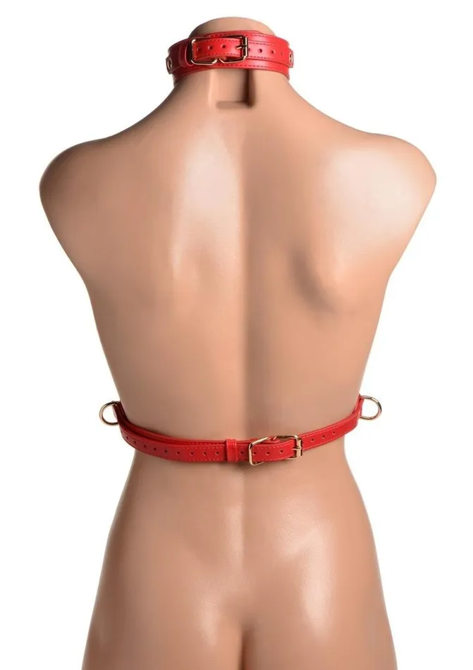 STRICT Strict Female Chest Harness Female Sex Toys