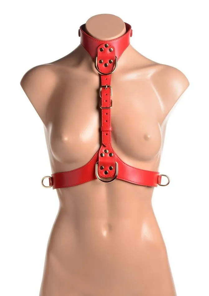 STRICT Strict Female Chest Harness Female Sex Toys