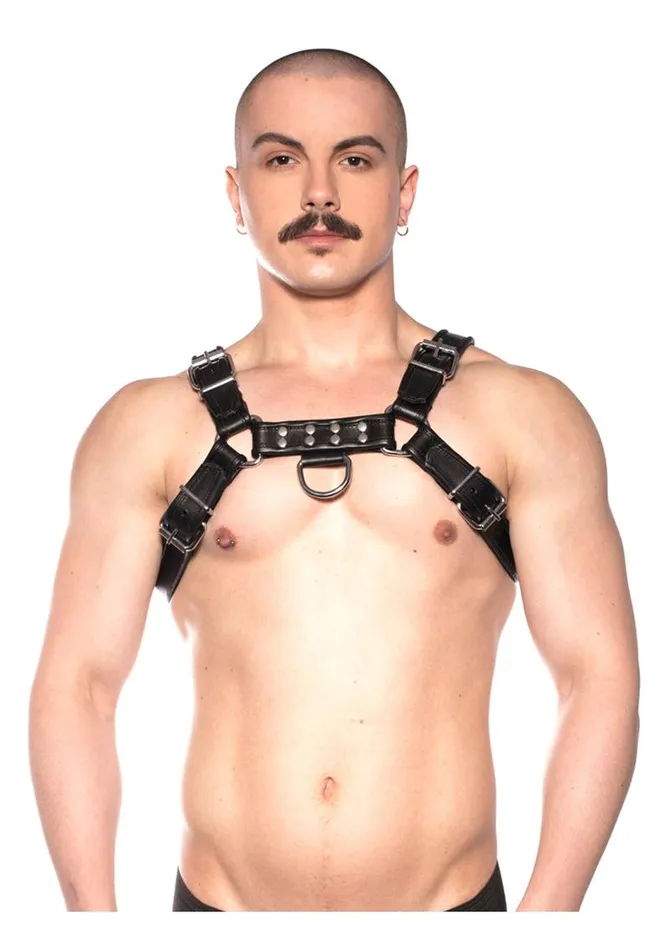 Vibrators Prowler Red Bull Harness Prowler Red