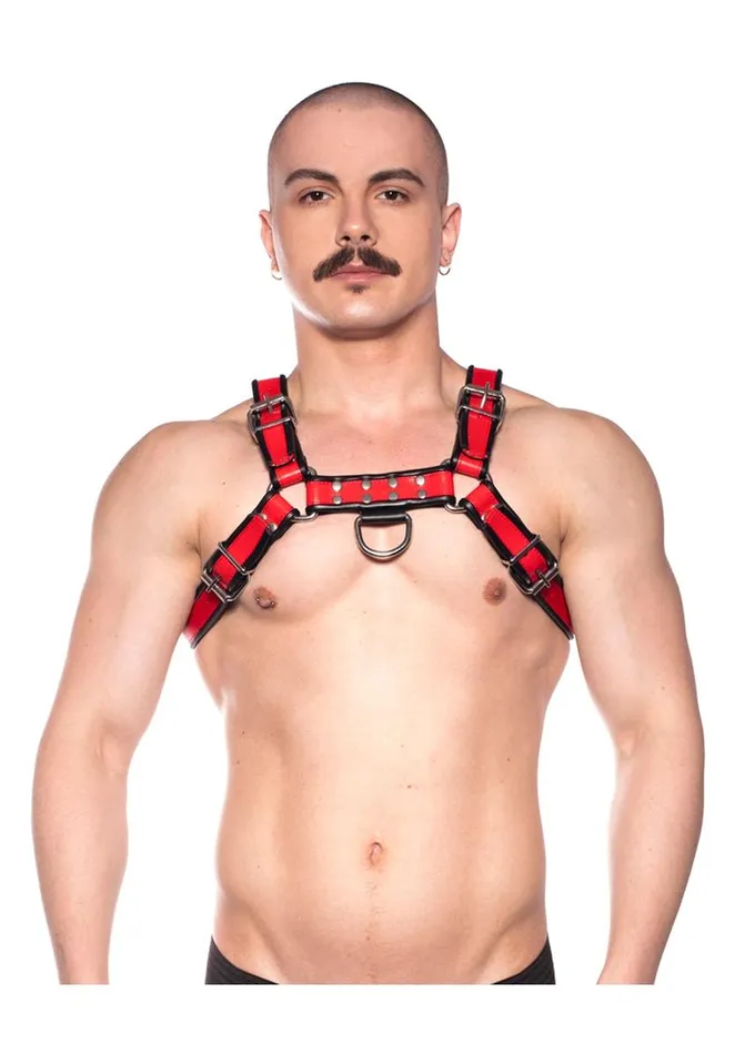 Vibrators Prowler Red Bull Harness Prowler Red