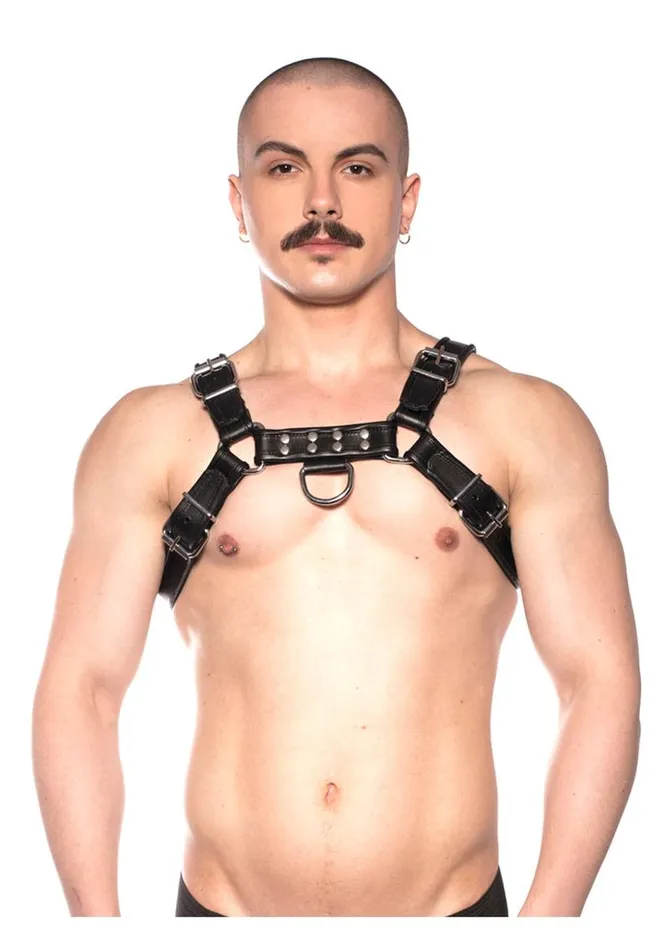 Vibrators Prowler Red Bull Harness Prowler Red