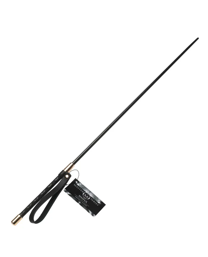 Xr LLC Anal Master Series Sinful Impact Cane BlackGold